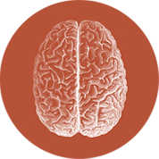 braininjury-cognitive